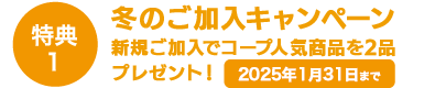 特典1 2025年1月31日まで冬のご加入キャンペーン新規ご加入でコープクオリティの人気商品2品プレゼント！